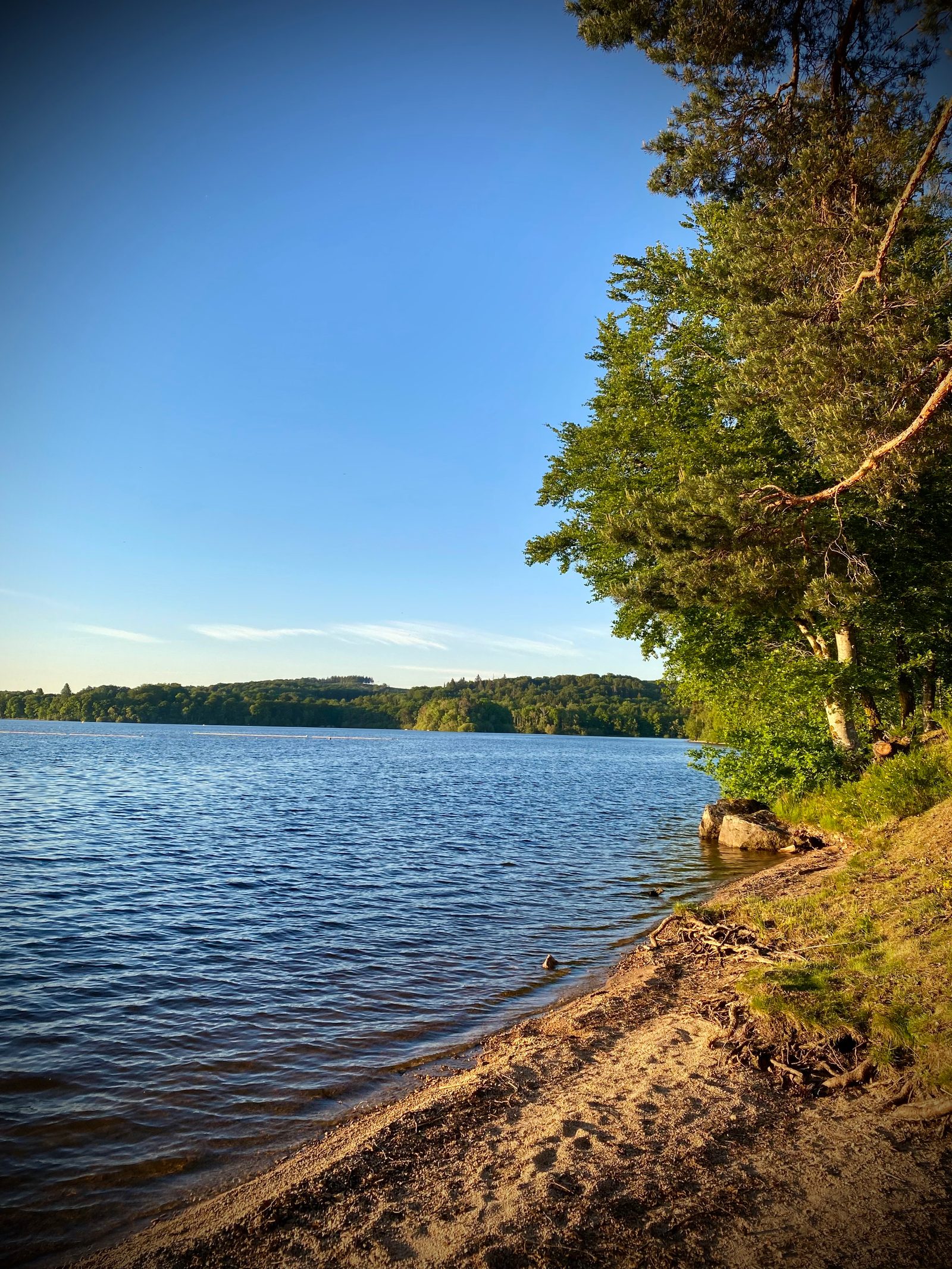 Domaine de La Cabane Verte Lac des Settons — 5