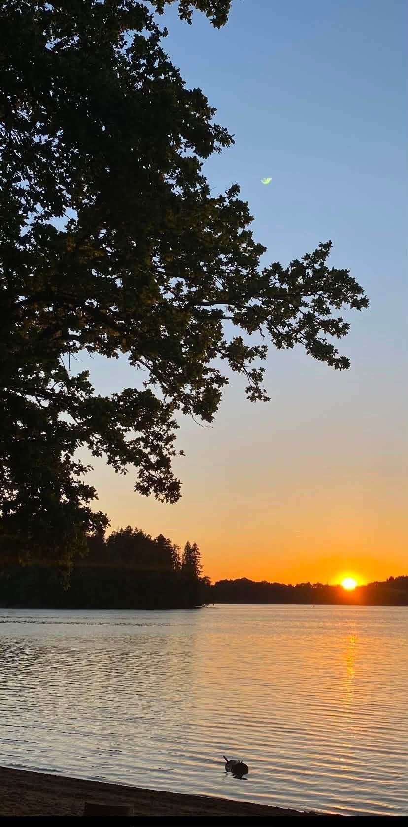 Domaine de La Cabane Verte Lac des Settons — 3