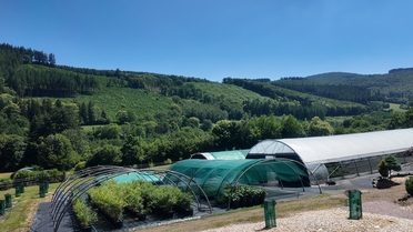 pépinière du Chardon Bleu
